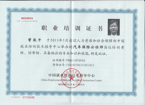 貴州國正二手車鑒定評估 人民法院訴訟中的專業角色與重要性